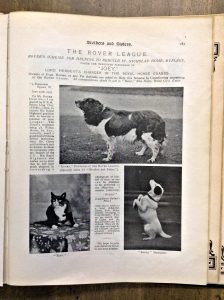 'Rover' the founder of the Rover League is featured here in the top photograph 