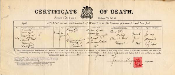 Large size image of Case 9646 2. Copy of E's death certificate  14 June 1905
 page 1
