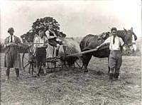 Haymaking at Standon Farm Home