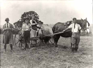The Standon farm relied upon its powerful horses to plough and harvest the fields. They also kept a variety of other animals including pigs, cows and chickens.