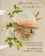 Image of Case 2716 4. Letter and Christmas card to M. from her brother 26 January 1891
 page 2