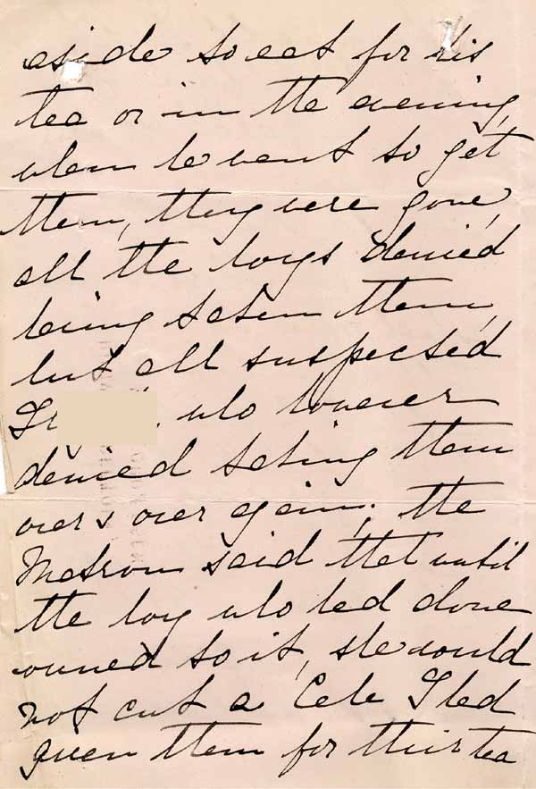 Large size image of Case 8645 13. Letter from the Honorary Secretary of the Runwell Home about H's behaviour  1 March 1902
 page 2
