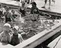 The healing swimming pool at St Nicholas' Hospital